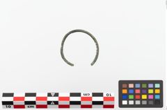 Foto von Bronzering (NHMW-PRAE-023872)